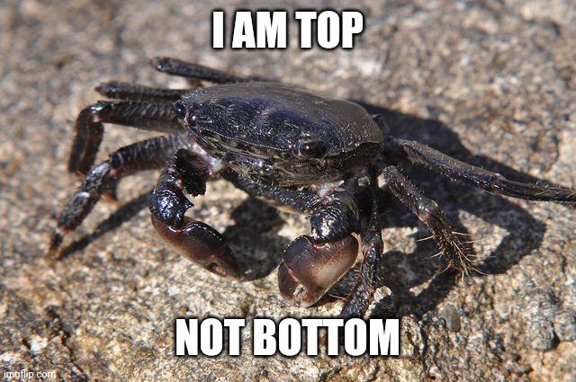 Top not bottom | I AM TOP; NOT BOTTOM | image tagged in black crab | made w/ Imgflip meme maker