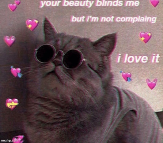 image tagged in wait a second this is wholesome content,wholesome 100,wholesome,blind,beauty,i love you | made w/ Imgflip meme maker