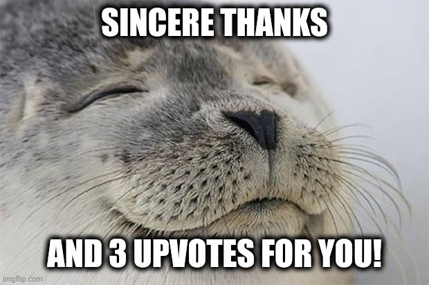 Satisfied Seal Meme | SINCERE THANKS AND 3 UPVOTES FOR YOU! | image tagged in memes,satisfied seal | made w/ Imgflip meme maker