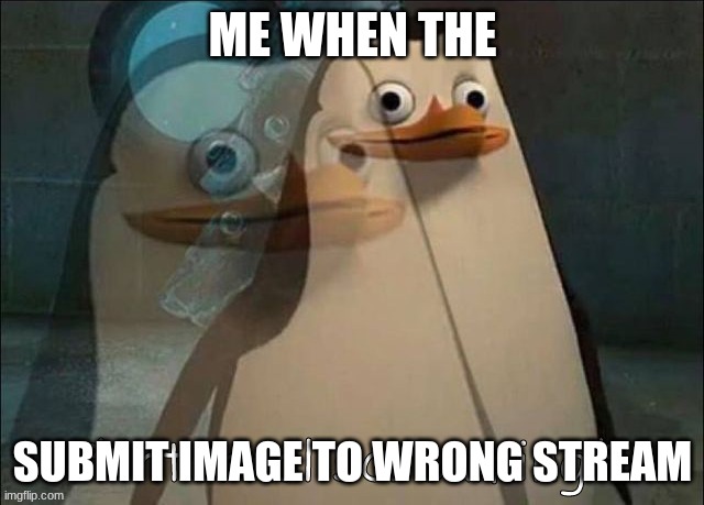 watch me accidentally submit to fun | ME WHEN THE; SUBMIT IMAGE TO WRONG STREAM | image tagged in private internal screaming | made w/ Imgflip meme maker