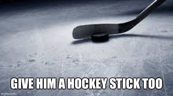 hockey | GIVE HIM A HOCKEY STICK TOO | image tagged in hockey | made w/ Imgflip meme maker