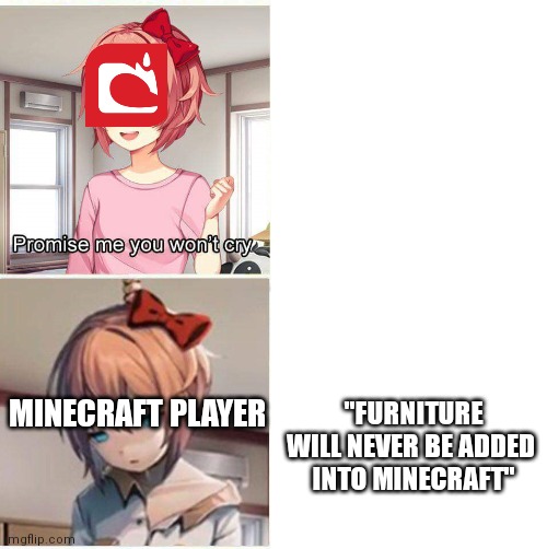 just... why? | "FURNITURE WILL NEVER BE ADDED 
INTO MINECRAFT"; MINECRAFT PLAYER | image tagged in promise you won't cry | made w/ Imgflip meme maker