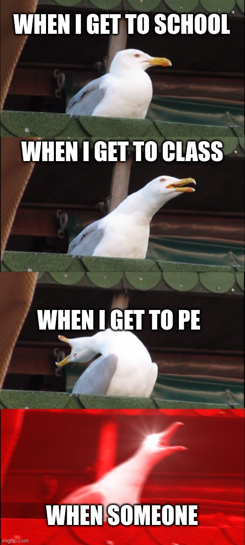 Inhaling Seagull | WHEN I GET TO SCHOOL; WHEN I GET TO CLASS; WHEN I GET TO PE; WHEN SOMEONE | image tagged in memes,inhaling seagull | made w/ Imgflip meme maker