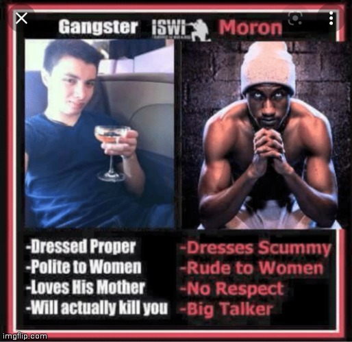 no-joke-i-can-actually-compare-very-close-to-a-gangster-imgflip