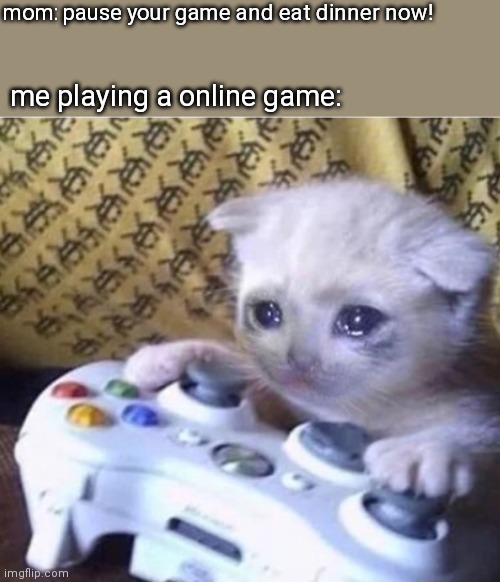 mom, i can't pause the game | mom: pause your game and eat dinner now! me playing a online game: | image tagged in cat sad controller | made w/ Imgflip meme maker