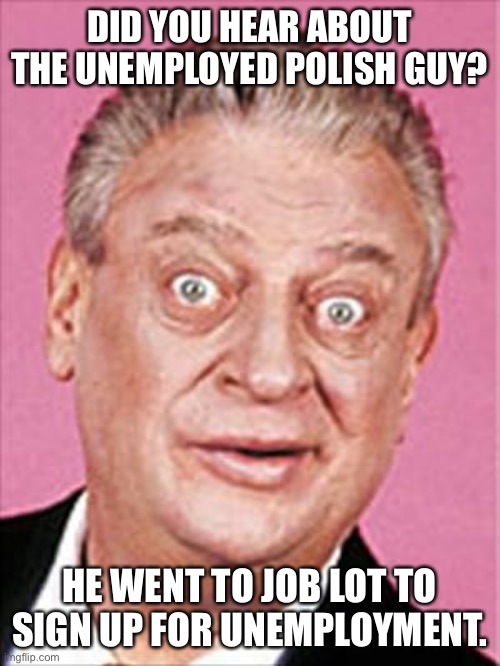 rodney dangerfield |  DID YOU HEAR ABOUT THE UNEMPLOYED POLISH GUY? HE WENT TO JOB LOT TO SIGN UP FOR UNEMPLOYMENT. | image tagged in rodney dangerfield | made w/ Imgflip meme maker