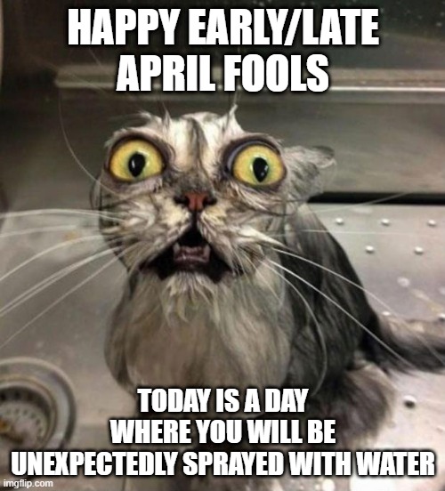 Technically you'll also be fed toothpaste oreos: *chokes* *insert creative title* | HAPPY EARLY/LATE APRIL FOOLS; TODAY IS A DAY WHERE YOU WILL BE UNEXPECTEDLY SPRAYED WITH WATER | image tagged in astonished wet cat,happy,april fools day,whoever is reading this,lol | made w/ Imgflip meme maker