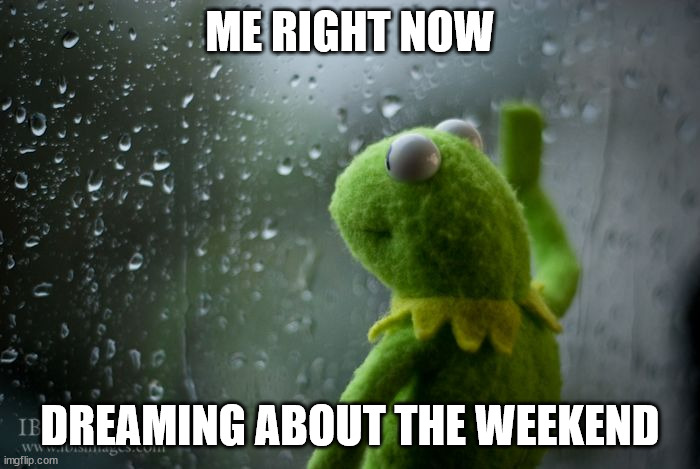me dreaming about the weekend | ME RIGHT NOW; DREAMING ABOUT THE WEEKEND | image tagged in kermit window | made w/ Imgflip meme maker