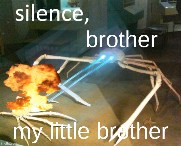 SILENCE | brother; my little brother | image tagged in silence crab,brother,little brother,oh wow are you actually reading these tags | made w/ Imgflip meme maker