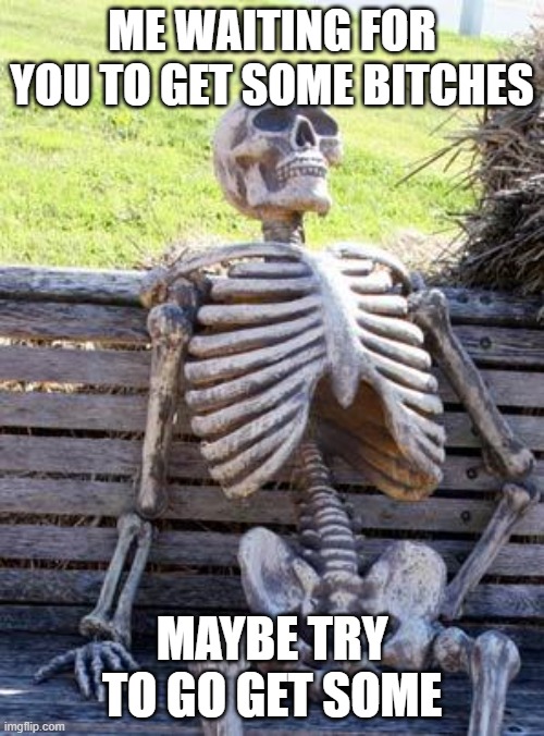 You get no bitches | ME WAITING FOR YOU TO GET SOME BITCHES; MAYBE TRY TO GO GET SOME | image tagged in memes,waiting skeleton | made w/ Imgflip meme maker