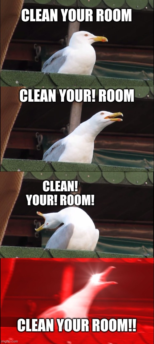 Inhaling Seagull Meme | CLEAN YOUR ROOM; CLEAN YOUR! ROOM; CLEAN! YOUR! ROOM! CLEAN YOUR ROOM!! | image tagged in memes,inhaling seagull | made w/ Imgflip meme maker