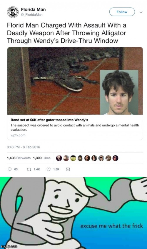 An alligator tho? | image tagged in excuse me what the frick | made w/ Imgflip meme maker