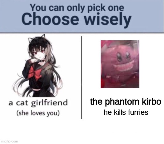 Choose wisely | the phantom kirbo; he kills furries | image tagged in choose wisely | made w/ Imgflip meme maker