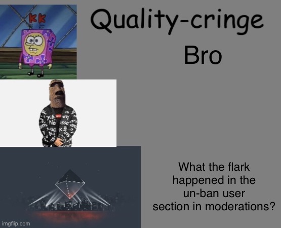 Quality cringe announcement temp (credit to frogking.) | Bro; What the flark happened in the un-ban user section in moderations? | image tagged in quality cringe announcement temp credit to frogking | made w/ Imgflip meme maker