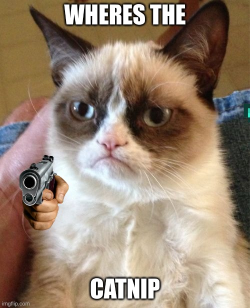 Grumpy Cat Meme | WHERES THE; CATNIP | image tagged in memes,grumpy cat | made w/ Imgflip meme maker