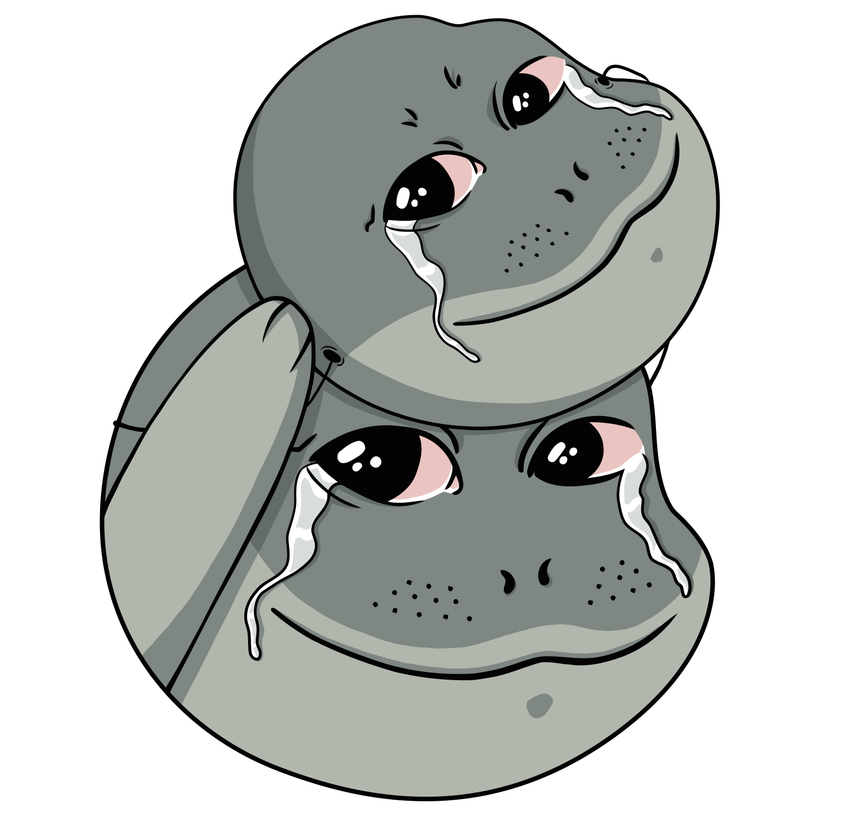 Seal Crying Meme