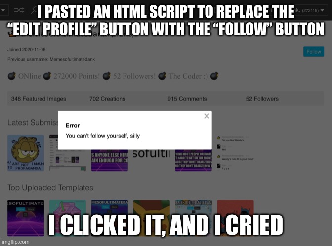 I’m guessing the imgflip servers don’t allow you to follow yourself, just like with upvoting your own comments and memes. | I PASTED AN HTML SCRIPT TO REPLACE THE “EDIT PROFILE” BUTTON WITH THE “FOLLOW” BUTTON; I CLICKED IT, AND I CRIED | made w/ Imgflip meme maker