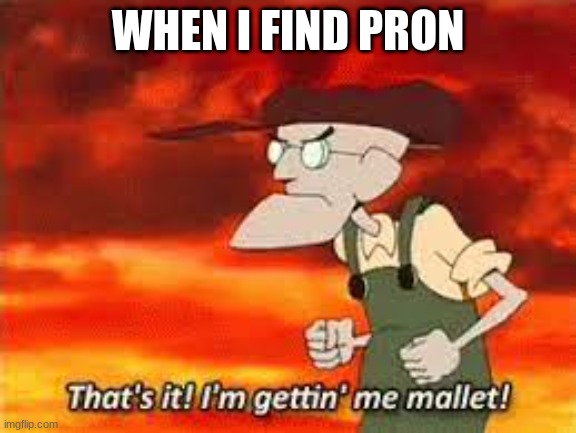 Thats It Im Gettin Me Mallet | WHEN I FIND PRON | image tagged in thats it im gettin me mallet | made w/ Imgflip meme maker