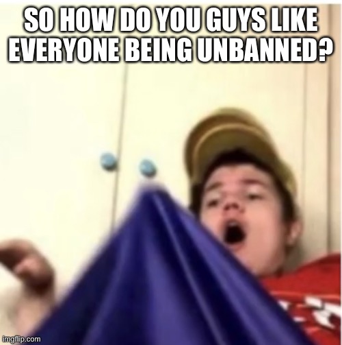 I should tell Mario he’s unbanned | SO HOW DO YOU GUYS LIKE EVERYONE BEING UNBANNED? | image tagged in alfaoxtrot mega boner | made w/ Imgflip meme maker