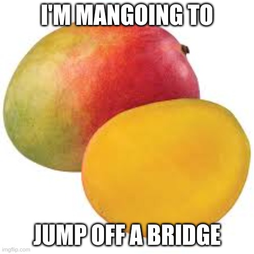 I'M MANGOING TO; JUMP OFF A BRIDGE | image tagged in funny,joke | made w/ Imgflip meme maker