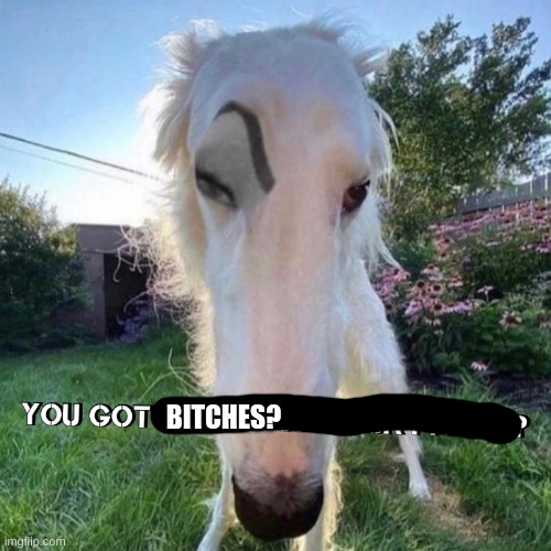 Do you? | BITCHES? | image tagged in yes i do | made w/ Imgflip meme maker