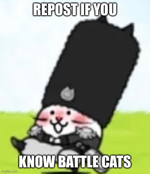 REPOST IF YOU; KNOW BATTLE CATS | image tagged in vodka cat | made w/ Imgflip meme maker