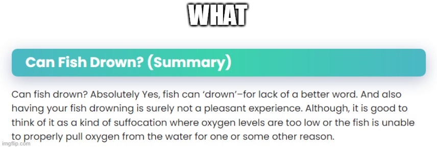 WHAT | made w/ Imgflip meme maker