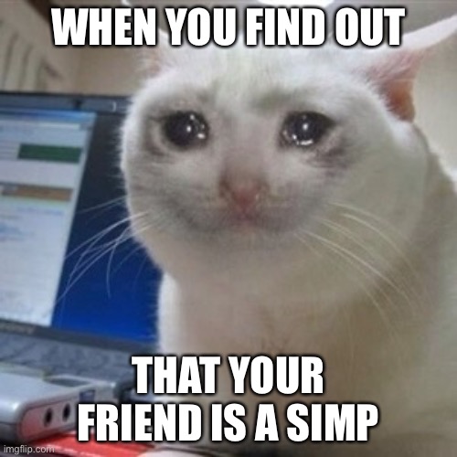 I know I posted something similar to this a few months ago, but it happened again. | WHEN YOU FIND OUT; THAT YOUR FRIEND IS A SIMP | image tagged in crying cat | made w/ Imgflip meme maker