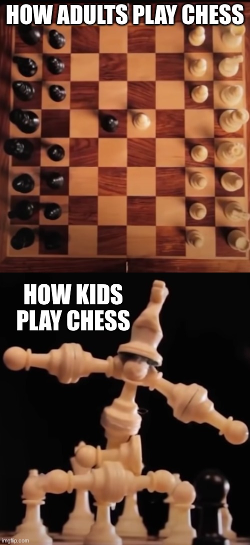 chess | HOW ADULTS PLAY CHESS; HOW KIDS PLAY CHESS | image tagged in chess | made w/ Imgflip meme maker