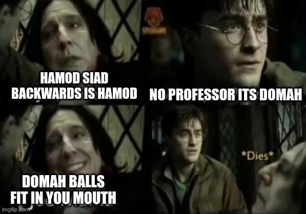 ha gotem | HAMOD SIAD BACKWARDS IS HAMOD; NO PROFESSOR ITS DOMAH; DOMAH BALLS FIT IN YOU MOUTH | image tagged in fun | made w/ Imgflip meme maker