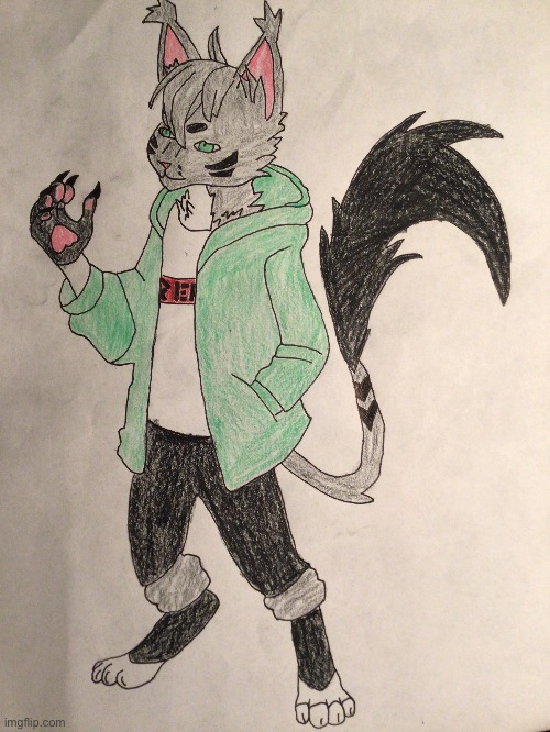 Colored my fursona, does not look half bad. | image tagged in furry | made w/ Imgflip meme maker