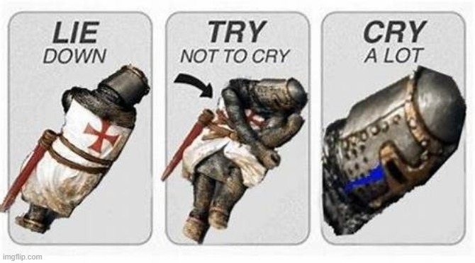 Try not to cry crusader | image tagged in try not to cry crusader | made w/ Imgflip meme maker