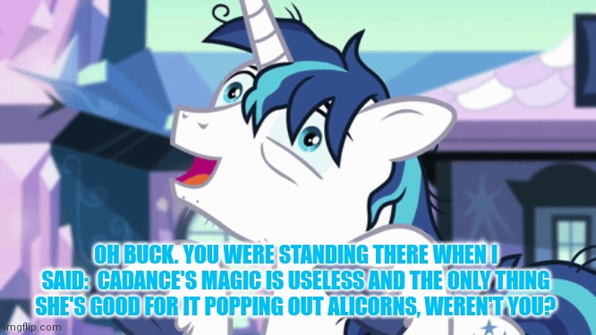 OH BUCK. YOU WERE STANDING THERE WHEN I SAID:  CADANCE'S MAGIC IS USELESS AND THE ONLY THING SHE'S GOOD FOR IT POPPING OUT ALICORNS, WEREN'T | made w/ Imgflip meme maker