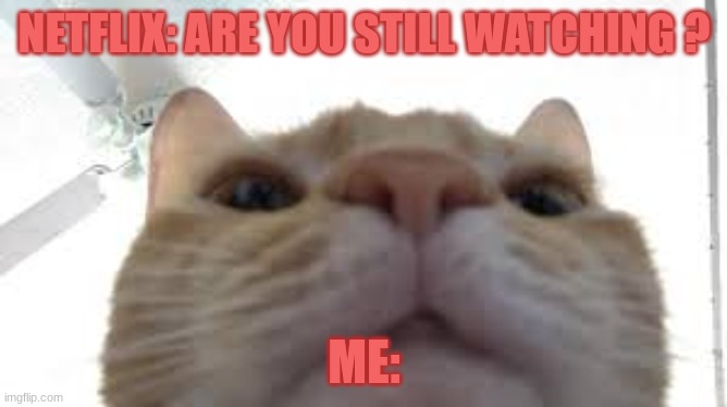 When Netflix wants to know if ur still watching | NETFLIX: ARE YOU STILL WATCHING ? ME: | image tagged in netflix,watching tv,sad,remote control | made w/ Imgflip meme maker