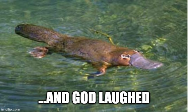 Platypus by Strongly Opinionated Platypus | ...AND GOD LAUGHED | image tagged in platypus by strongly opinionated platypus | made w/ Imgflip meme maker