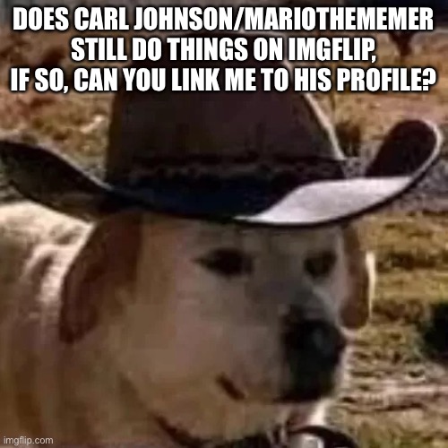 doge | DOES CARL JOHNSON/MARIOTHEMEMER STILL DO THINGS ON IMGFLIP, IF SO, CAN YOU LINK ME TO HIS PROFILE? | image tagged in doge | made w/ Imgflip meme maker