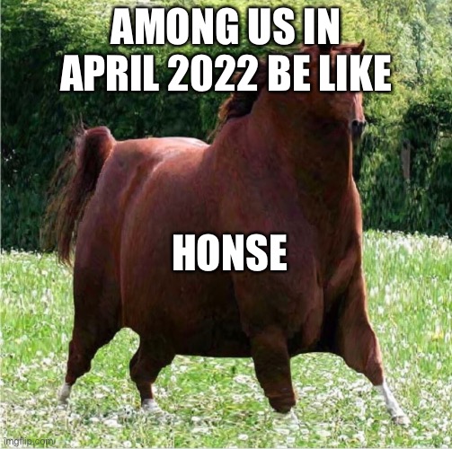 Among us today lol | AMONG US IN APRIL 2022 BE LIKE; HONSE | image tagged in the h o n s e | made w/ Imgflip meme maker