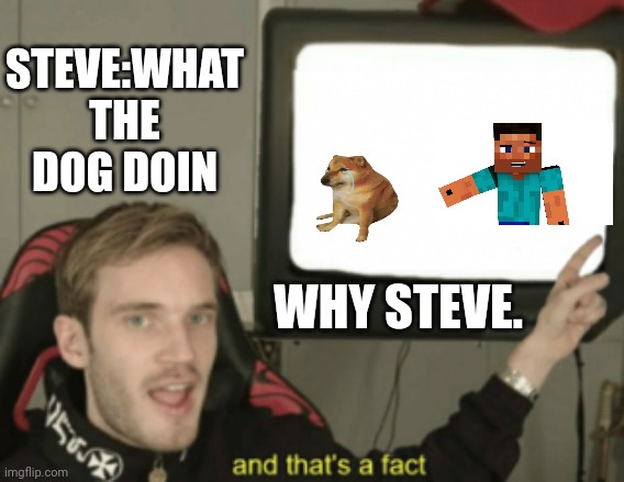 Idk | STEVE:WHAT THE DOG DOIN; WHY STEVE. | image tagged in and that's a fact | made w/ Imgflip meme maker