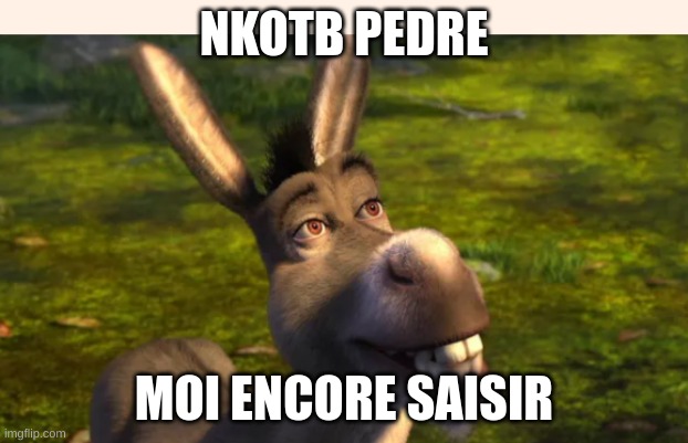 NKOTB | NKOTB PEDRE; MOI ENCORE SAISIR | image tagged in funny | made w/ Imgflip meme maker