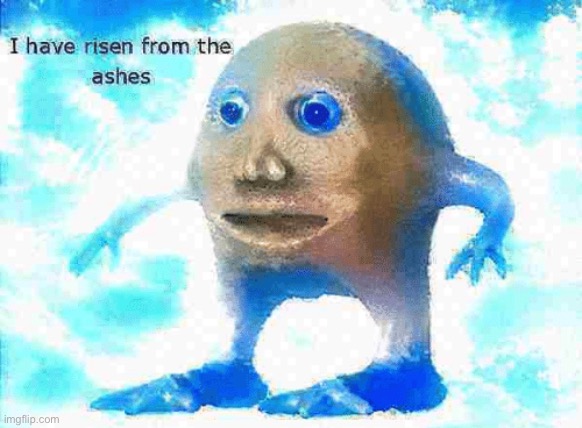 I Have Risen From The Ashes | image tagged in i have risen from the ashes | made w/ Imgflip meme maker