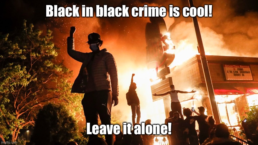 BLM Riots | Black in black crime is cool! Leave it alone! | image tagged in blm riots | made w/ Imgflip meme maker