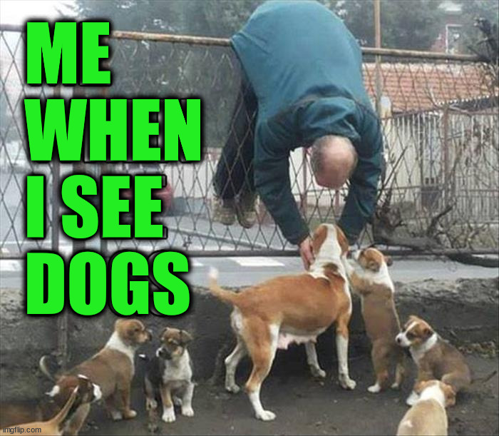 ME
WHEN
I SEE
DOGS | image tagged in who_am_i | made w/ Imgflip meme maker