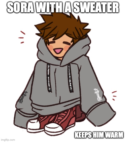 Sora With Sweater | SORA WITH A SWEATER; KEEPS HIM WARM | image tagged in kingdom hearts,sora,memes | made w/ Imgflip meme maker