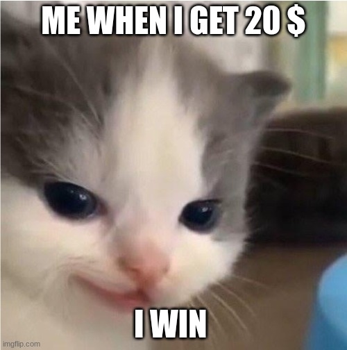 Hehe cat |  ME WHEN I GET 20 $; I WIN | image tagged in hehe cat | made w/ Imgflip meme maker