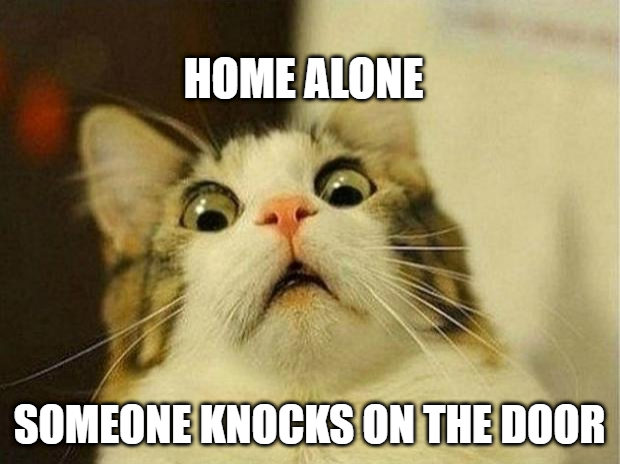 scared cat home alone Blank Meme Template
