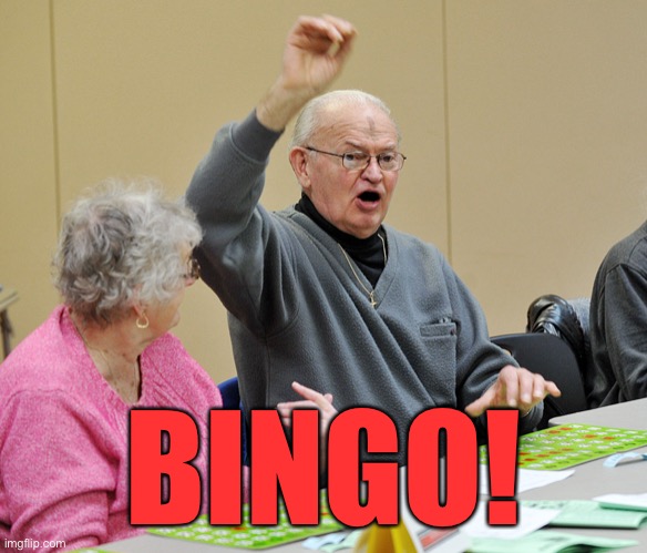 Bingo | BINGO! | image tagged in bingo | made w/ Imgflip meme maker