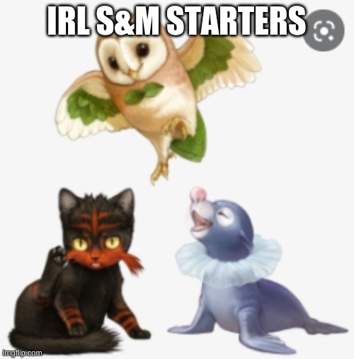 I love how rowlet looks tho | IRL S&M STARTERS | image tagged in funny,pokemon,slowpoke,rowlet,litten,popplio | made w/ Imgflip meme maker