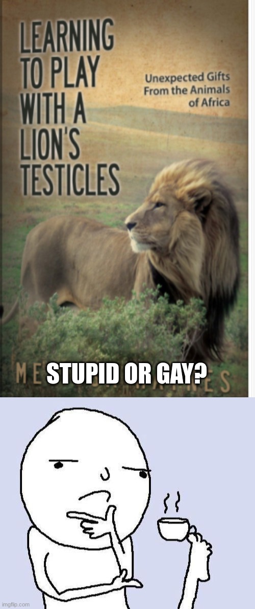 learn | STUPID OR GAY? | image tagged in thinking meme,stupid | made w/ Imgflip meme maker