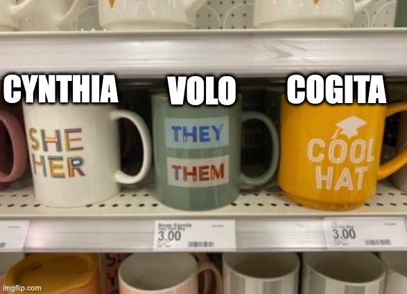 She/Her They/Them Cool Hat | COGITA; VOLO; CYNTHIA | image tagged in she/her they/them cool hat | made w/ Imgflip meme maker