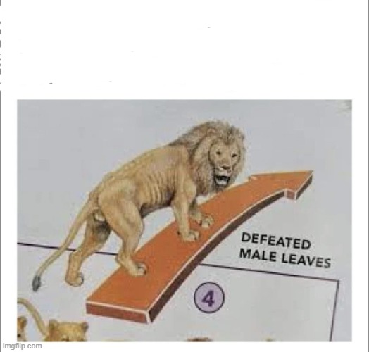 Defeated lion leaves | image tagged in defeated lion leaves | made w/ Imgflip meme maker